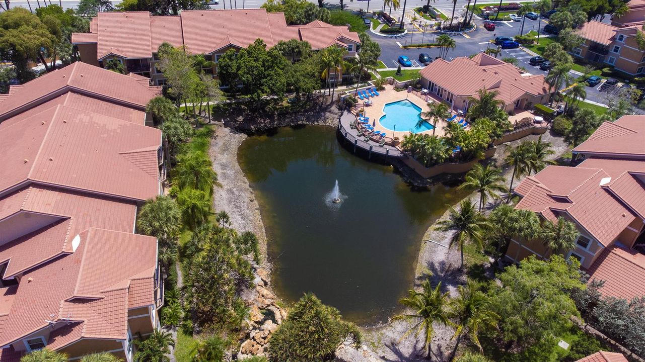 Pool and Pond