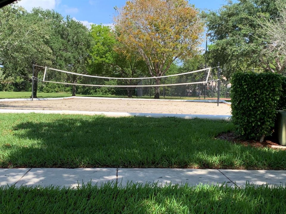 Volleyball Court