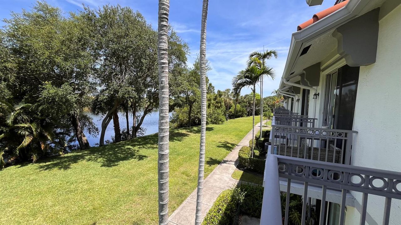 Lake view