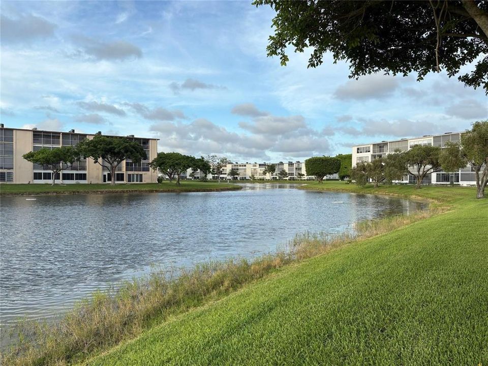Rear Lake / View