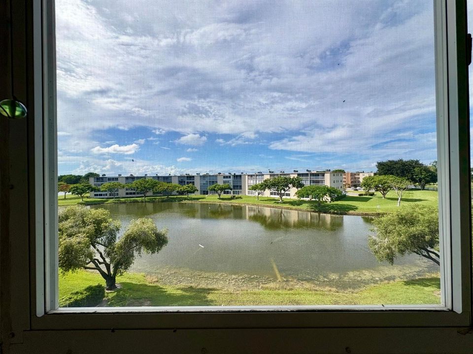 View from Porch