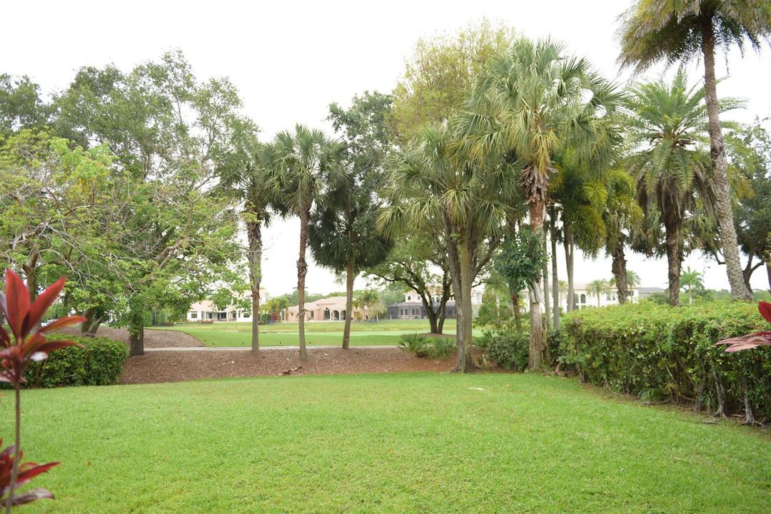 AAA_3423
