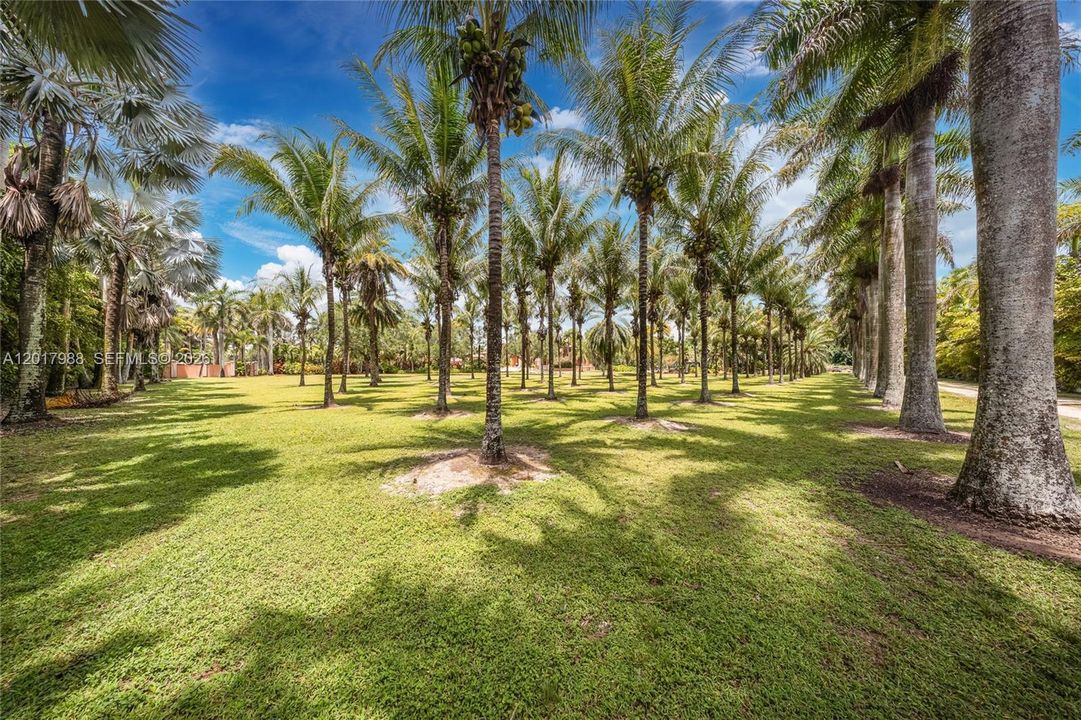 En Venta: $6,999,000 (6 camas, 5 baños, 11907 Pies cuadrados)