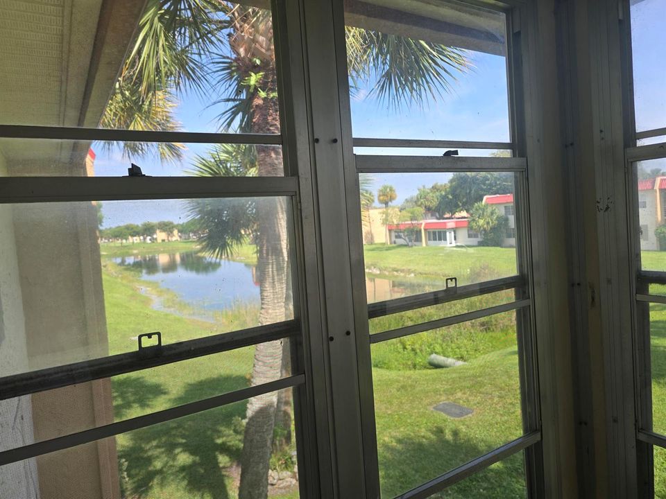 PATIO VIEW
