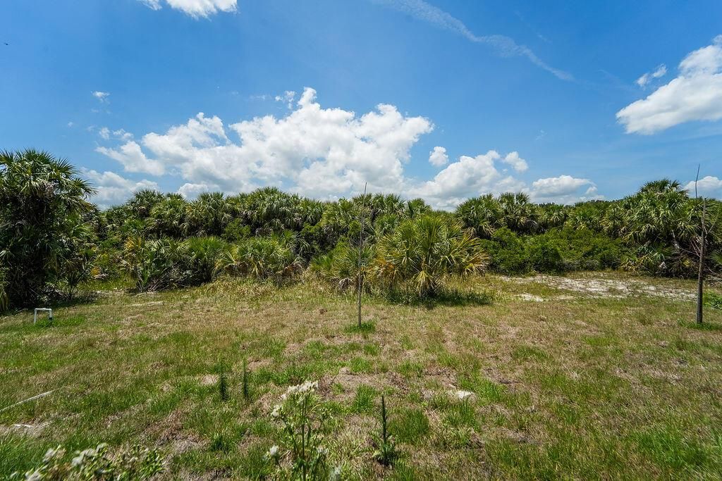 2392MaddenAvePalmBayo-3