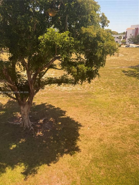 En Venta: $229,000 (2 camas, 2 baños, 1000 Pies cuadrados)