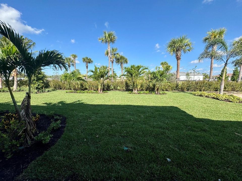Yard