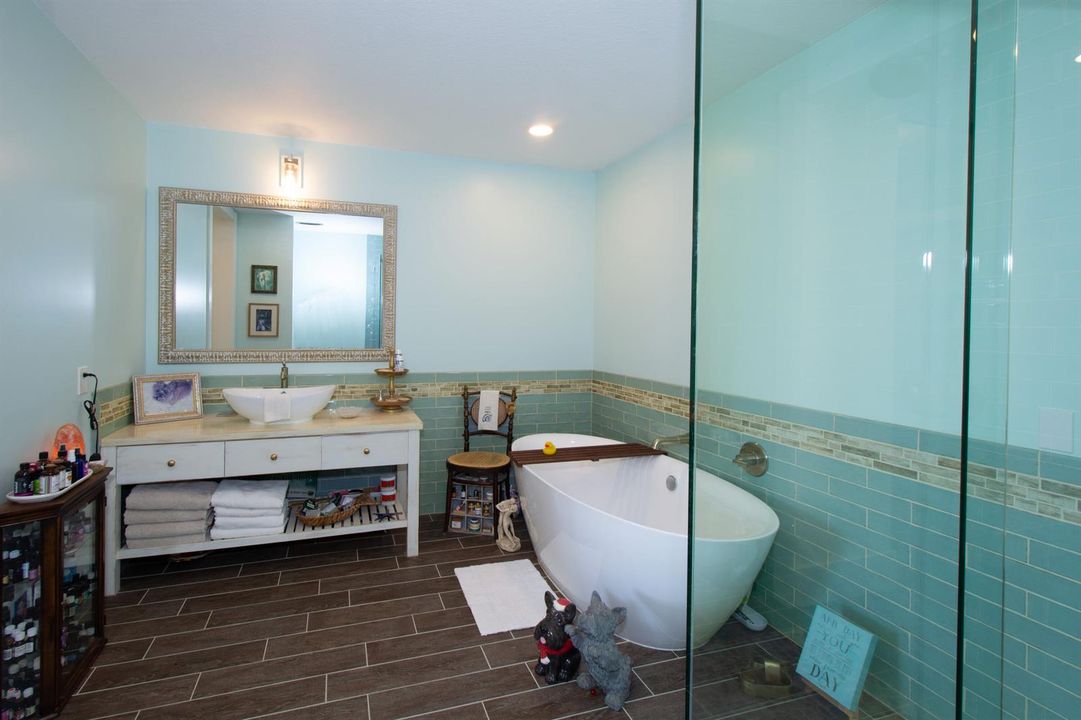 Primary Bath Sink Shower