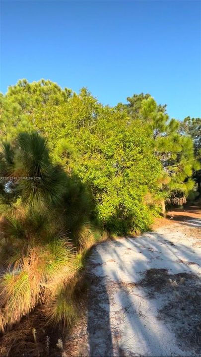 En Venta: $58,999 (1.07 acres)