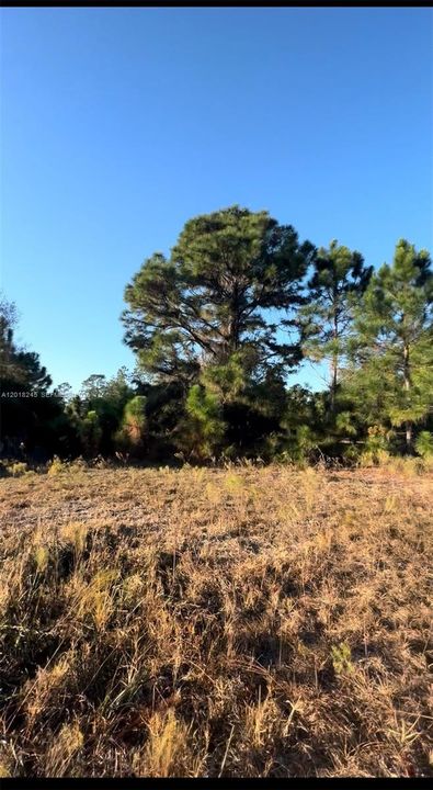En Venta: $58,999 (1.07 acres)
