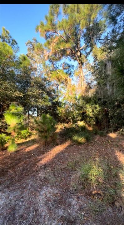 En Venta: $58,999 (1.07 acres)