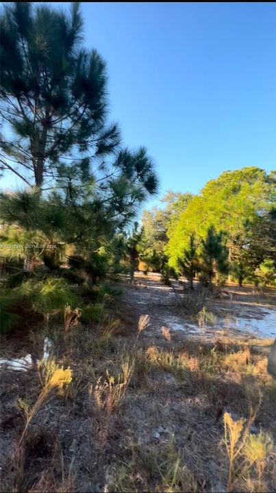 En Venta: $58,999 (1.07 acres)