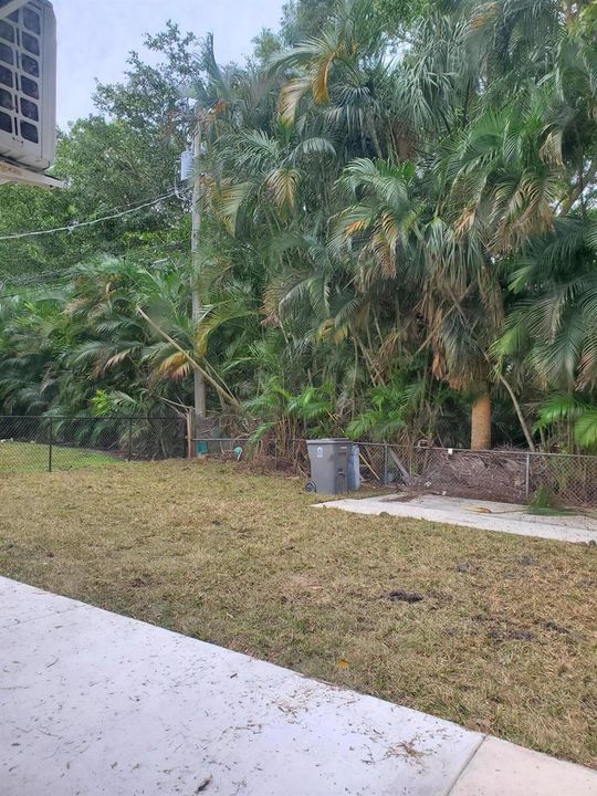 backyard 1