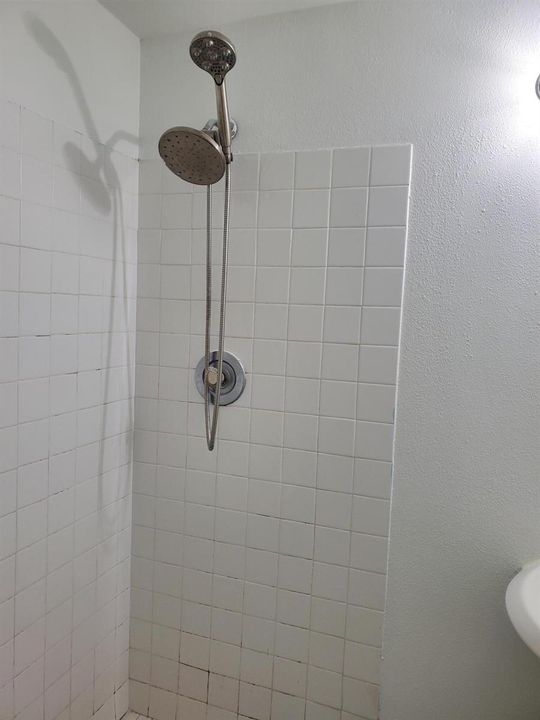 master bath shower
