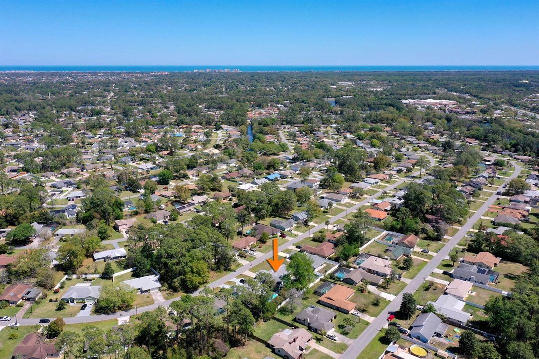 43-web-or-mls-46 Berkshire Ln-45