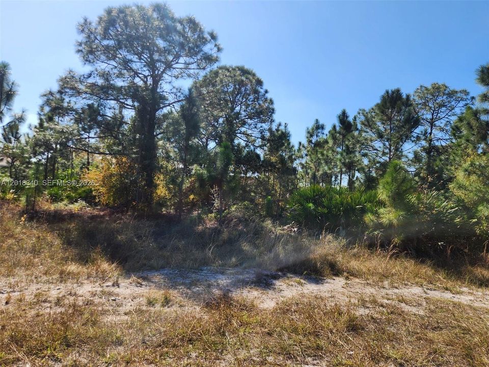 For Sale: $70,000 (1.00 acres)