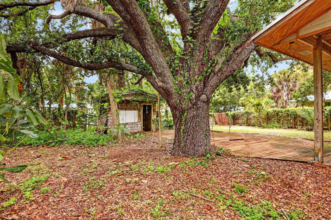 4-web-or-mls-5P1A2712