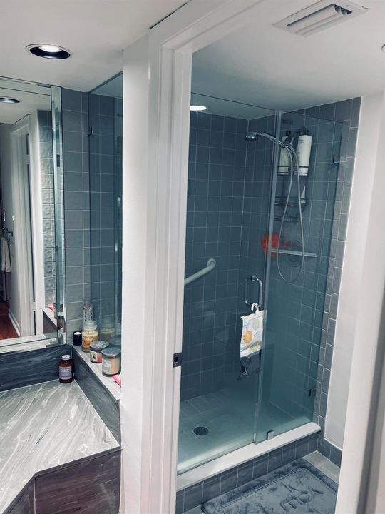 Master bathroom shower