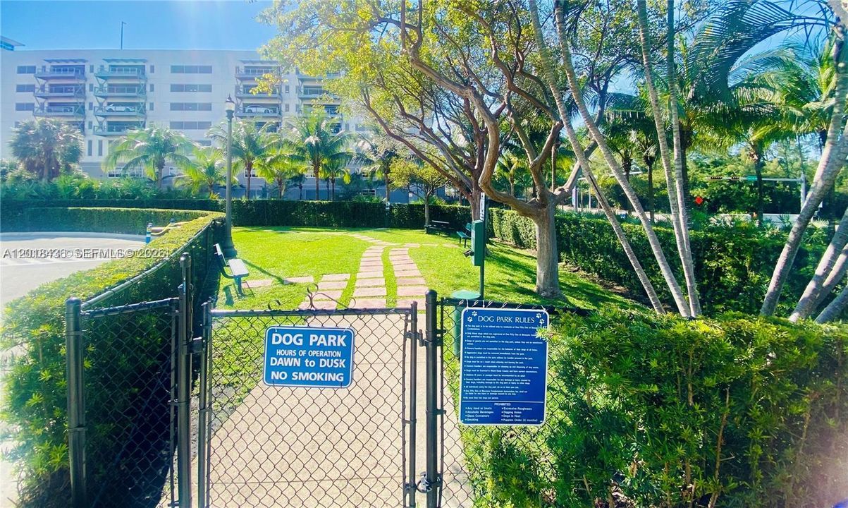Dog park area