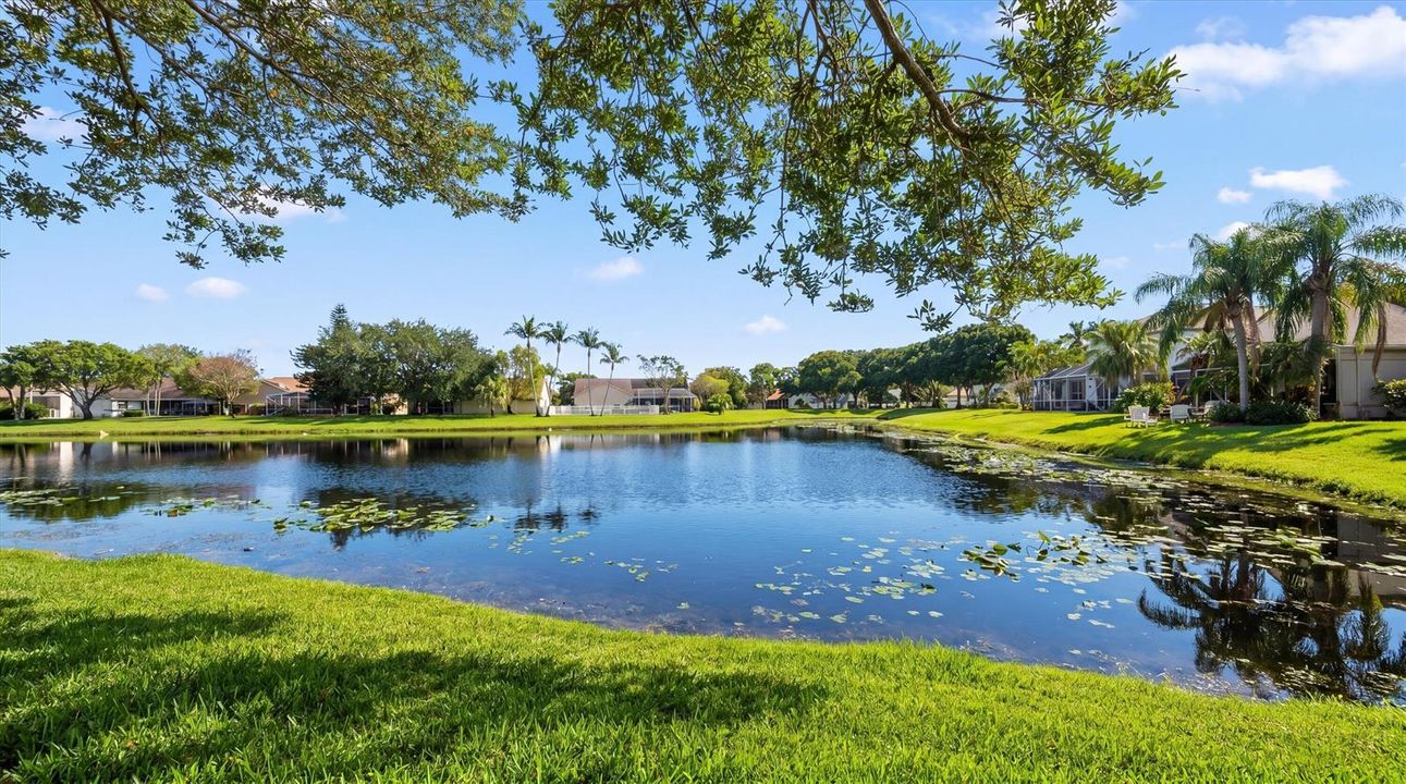 Lake View