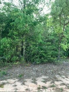 affordable lot Jackson county
