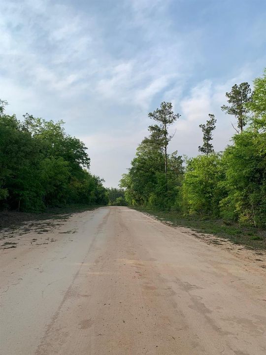 Gardenia Dr road to cheap lot in Jackson