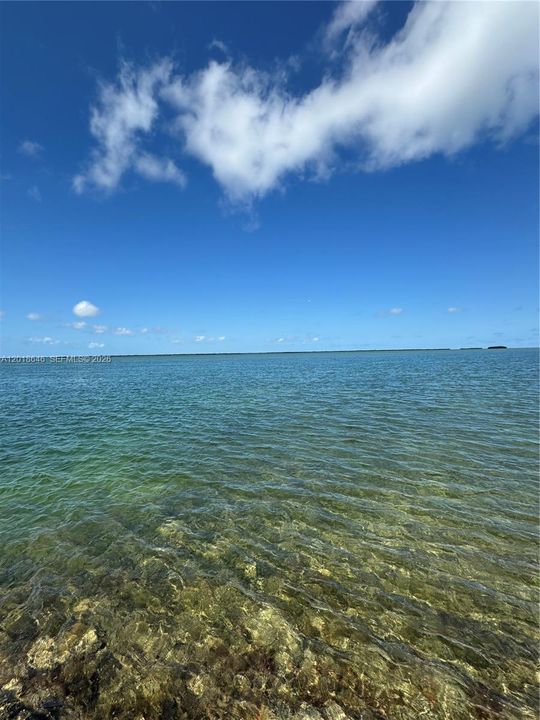 For Sale: $170,000 (0.13 acres)