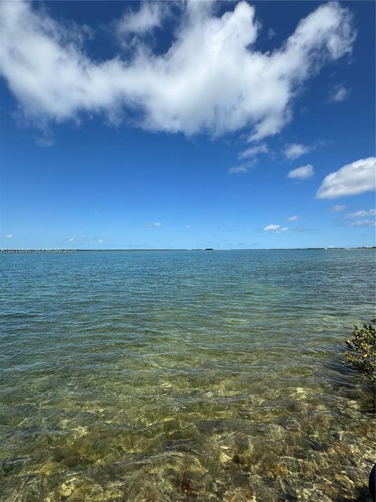 For Sale: $170,000 (0.13 acres)
