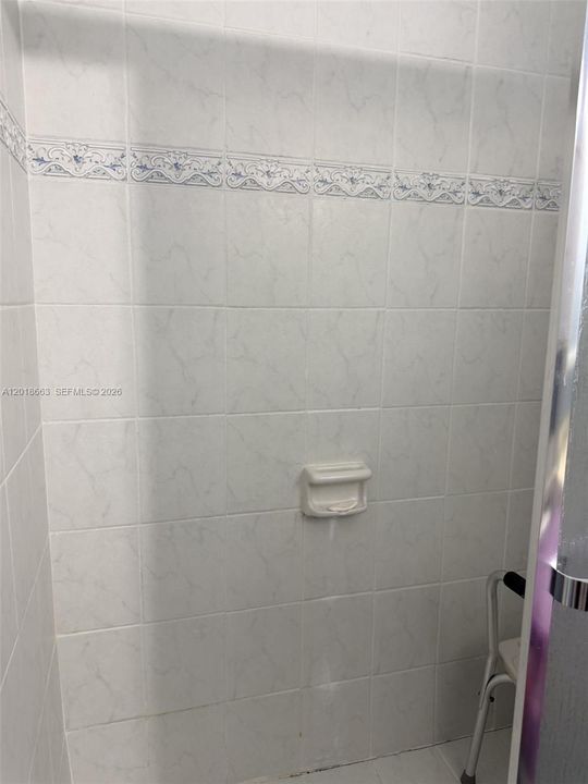Primary Shower