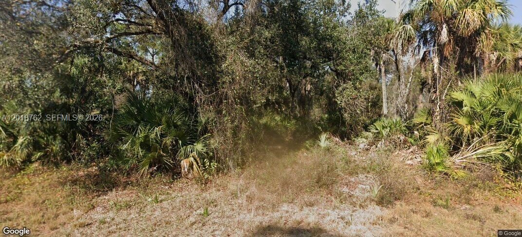 待售: $33,000 (0.23 acres)