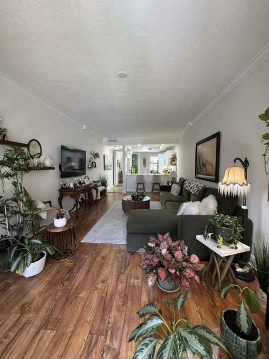 IMG_1650