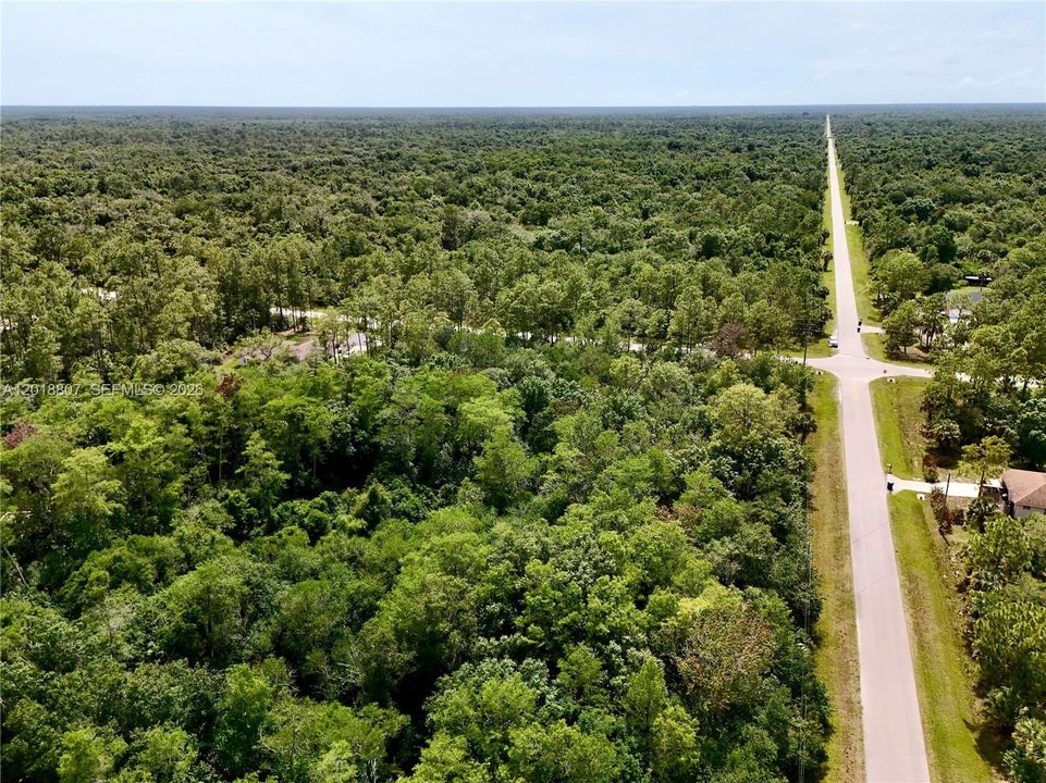 For Sale: $75,000 (1.17 acres)