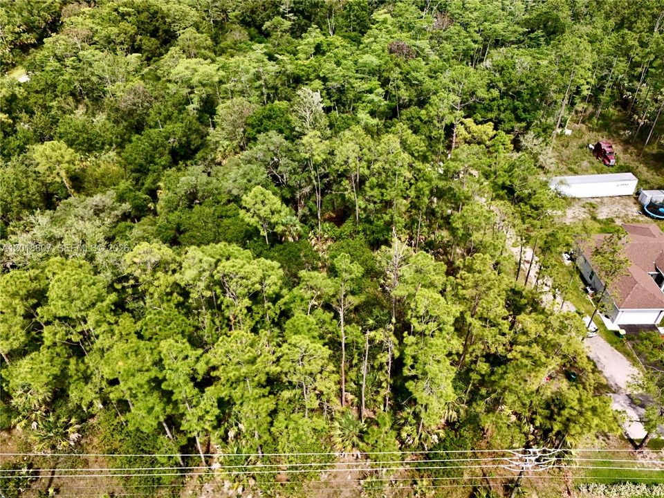 For Sale: $75,000 (1.17 acres)