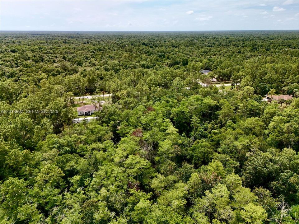 For Sale: $75,000 (1.17 acres)