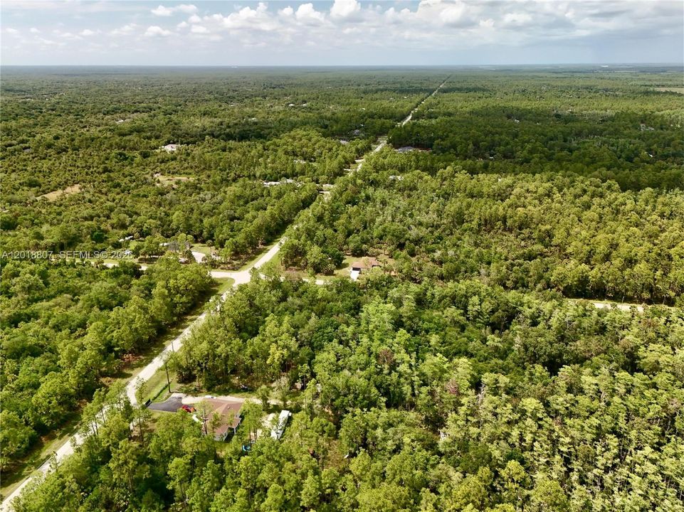 For Sale: $75,000 (1.17 acres)