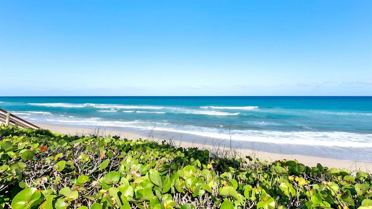Private Beach
