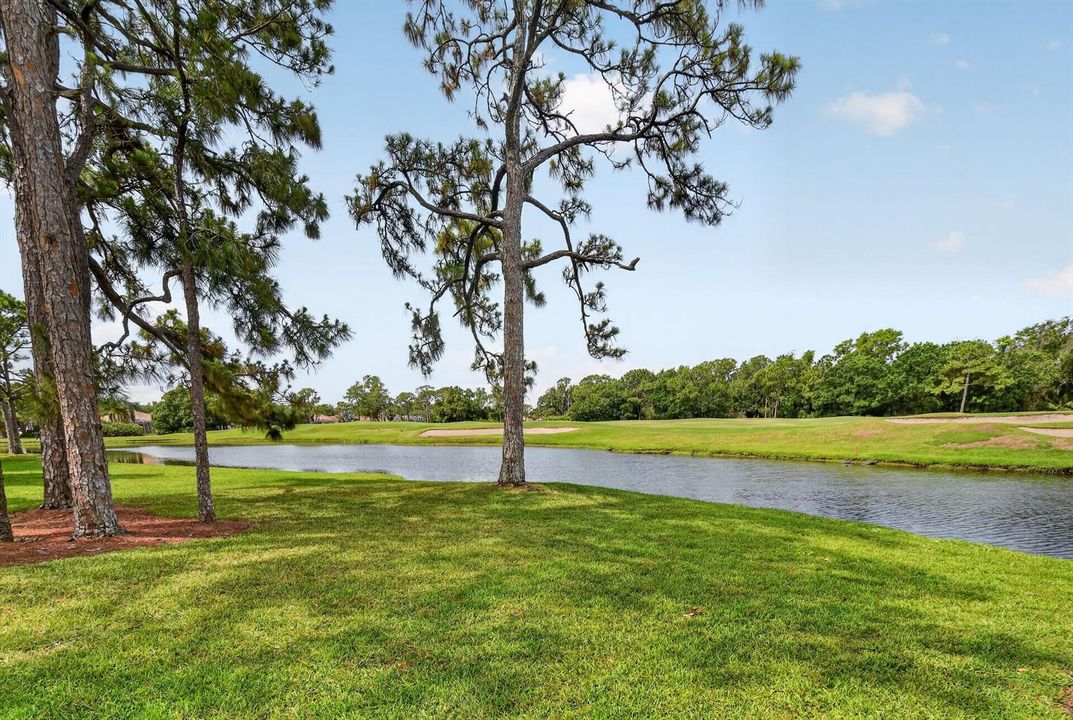 8268SEPalmHammockLane(60)