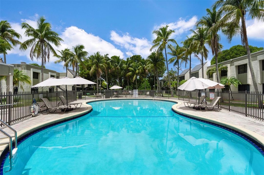 Large community Pool with new shade umbrellas and loungers.