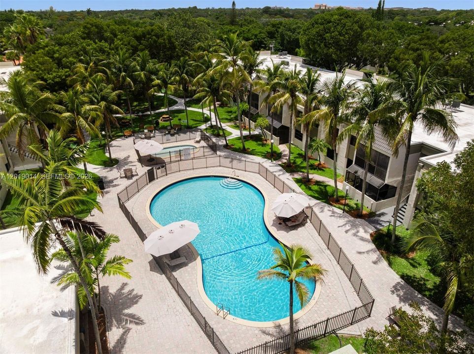 Clean and beautiful pool with areas to relax and find shade