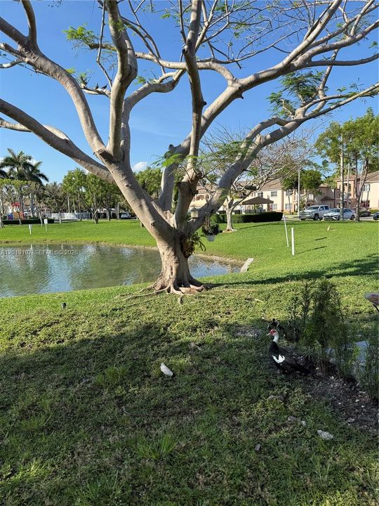 En Venta: $199,900 (2 camas, 2 baños, 822 Pies cuadrados)