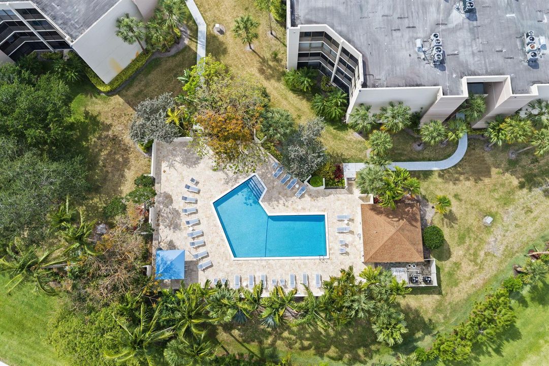 pool aerial view
