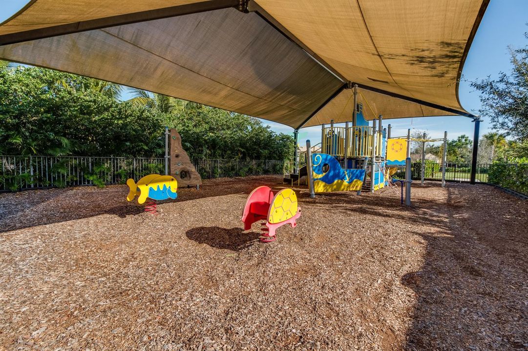 Play Area