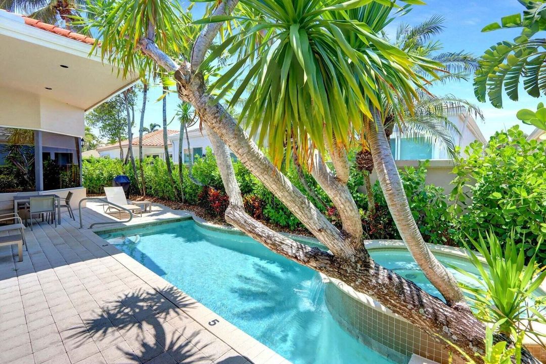 Pool and Spa