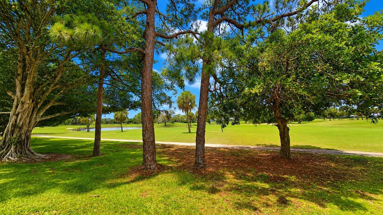 golf course view