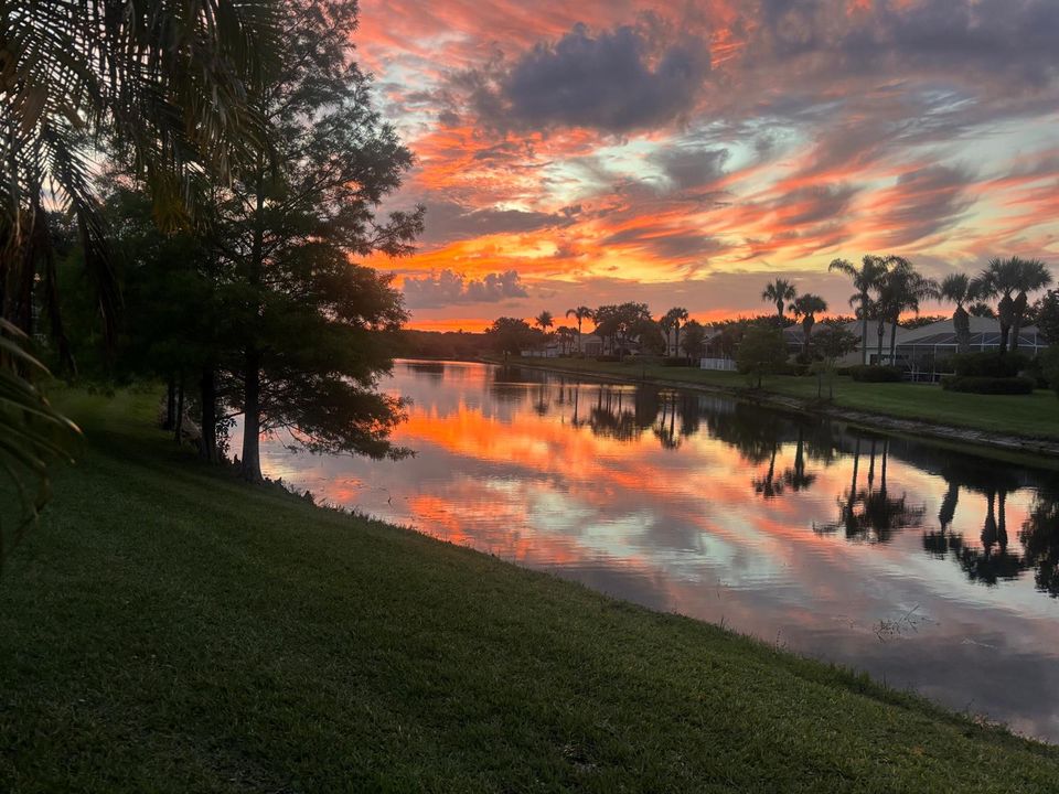 Sunset Views