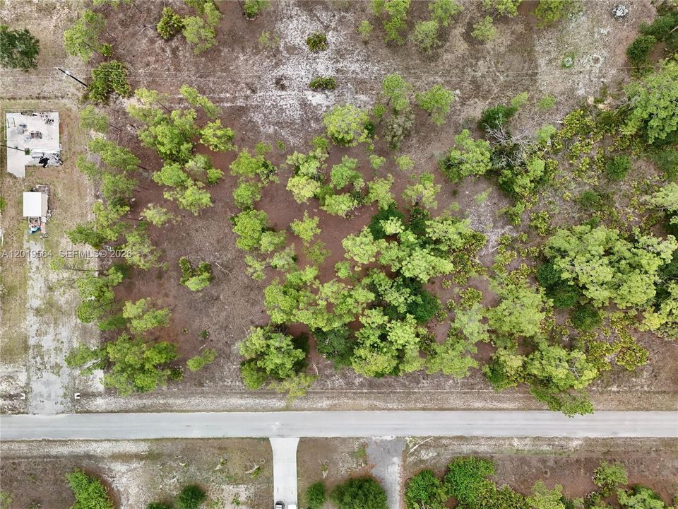 待售: $29,000 (0.50 acres)