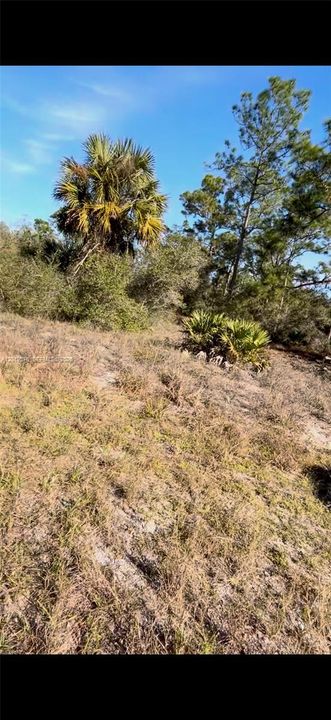 For Sale: $25,000 (0.50 acres)