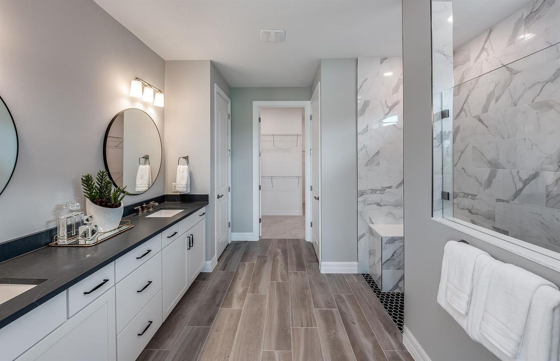 Owner's Bath