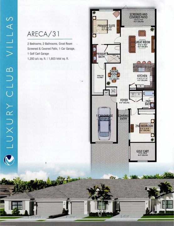 Areca 31