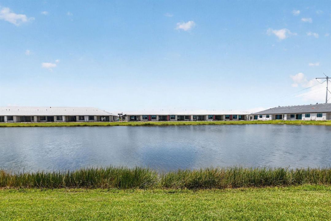 37-web-or-mls-5P1A5071